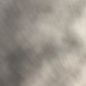 Meet your Posher, Gloria